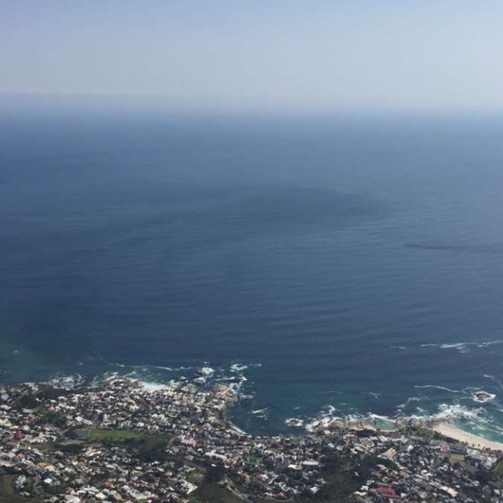 Meet your Posher, Gayle